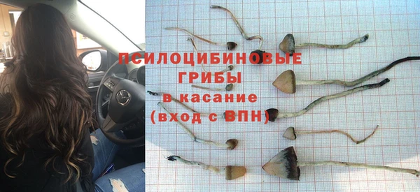 гидропоника Пестово