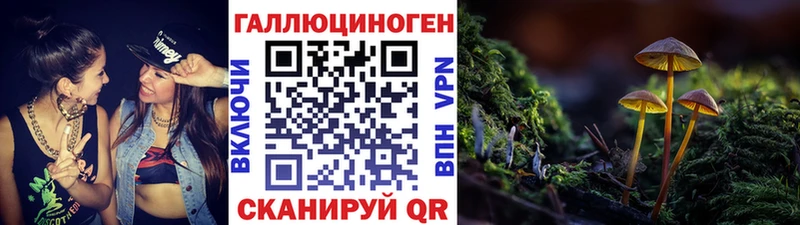 Купить где  Россошь  Галлюциногенные грибы MAGIC MUSHROOMS 
